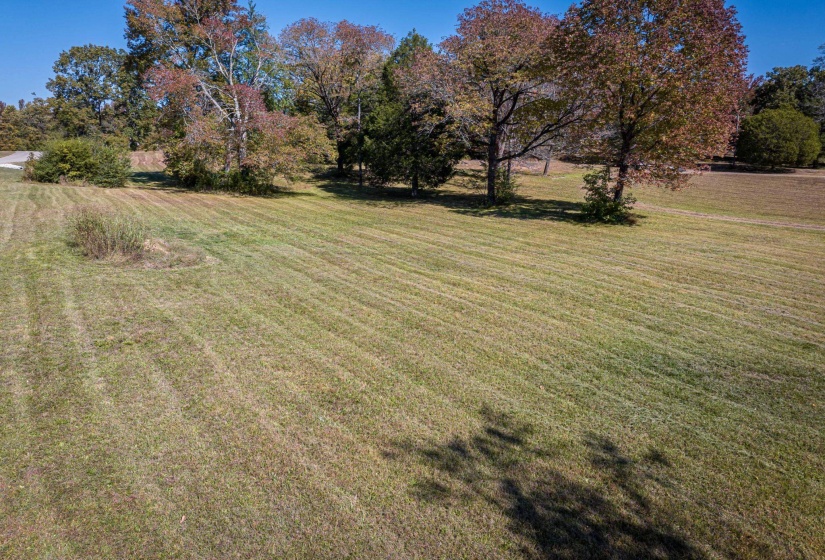 1084 MAIN ST, Parsons, Tennessee 38363, 0 , 0 ,0,Land,For Sale,MAIN,0,10210084