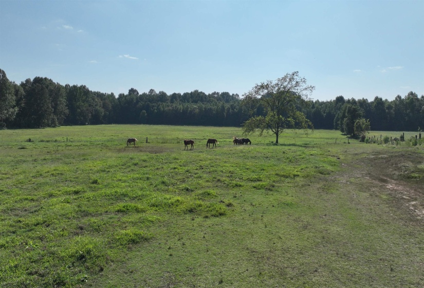 2000 HWY 64 HWY, Oakland, Tennessee 38028, ,Land,For Sale,HWY 64,10210100