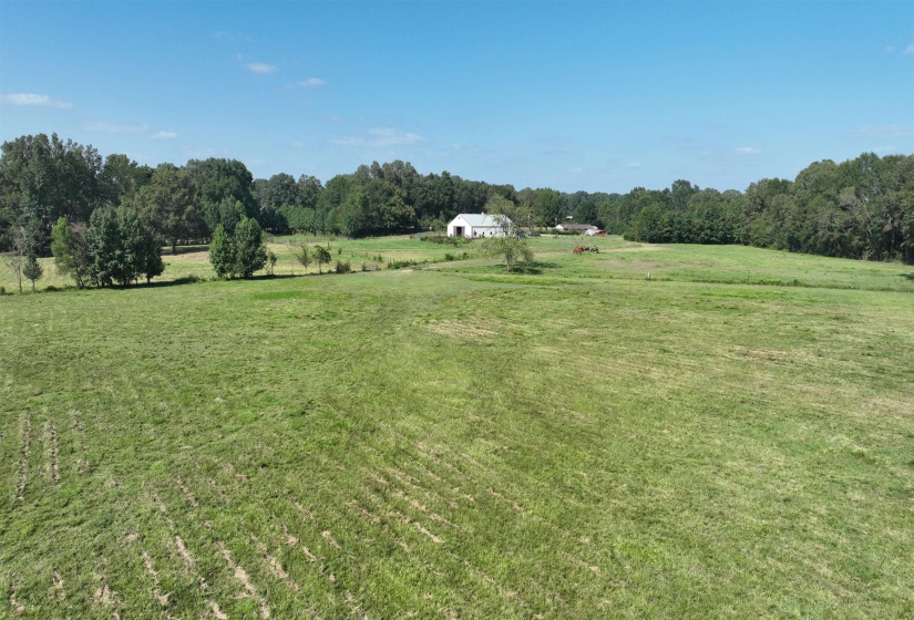 2000 HWY 64 HWY, Oakland, Tennessee 38028, ,Land,For Sale,HWY 64,10210100