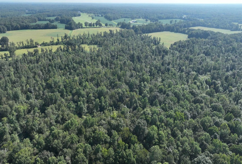 2000 HWY 64 HWY, Oakland, Tennessee 38028, ,Land,For Sale,HWY 64,10210100