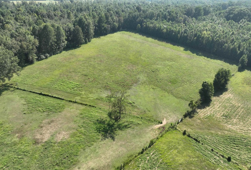 2000 HWY 64 HWY, Oakland, Tennessee 38028, ,Land,For Sale,HWY 64,10210100