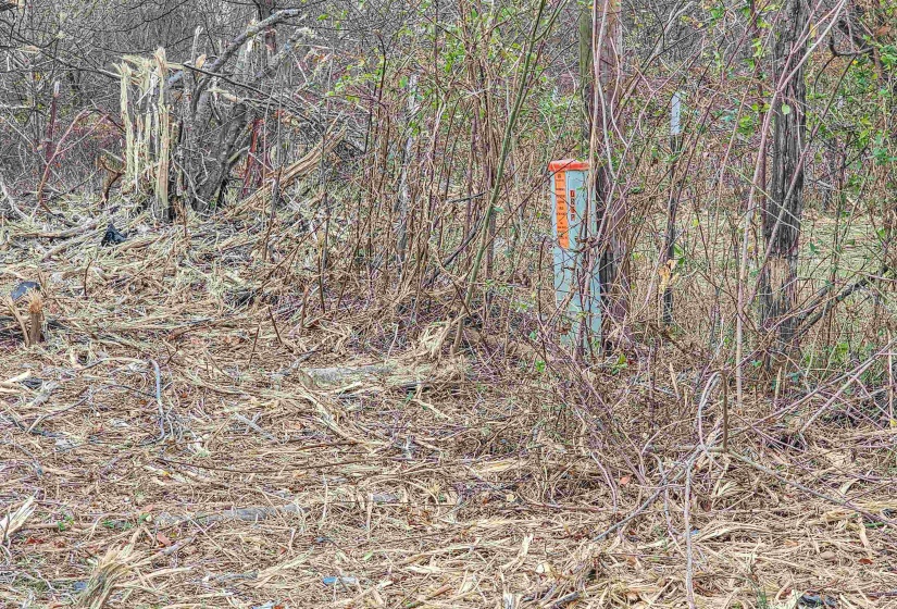 FISHERVILLE RD, Piperton, Tennessee 38066, ,Land,For Sale,FISHERVILLE,10210138