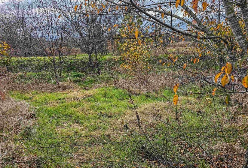 FISHERVILLE RD, Piperton, Tennessee 38066, ,Land,For Sale,FISHERVILLE,10210138