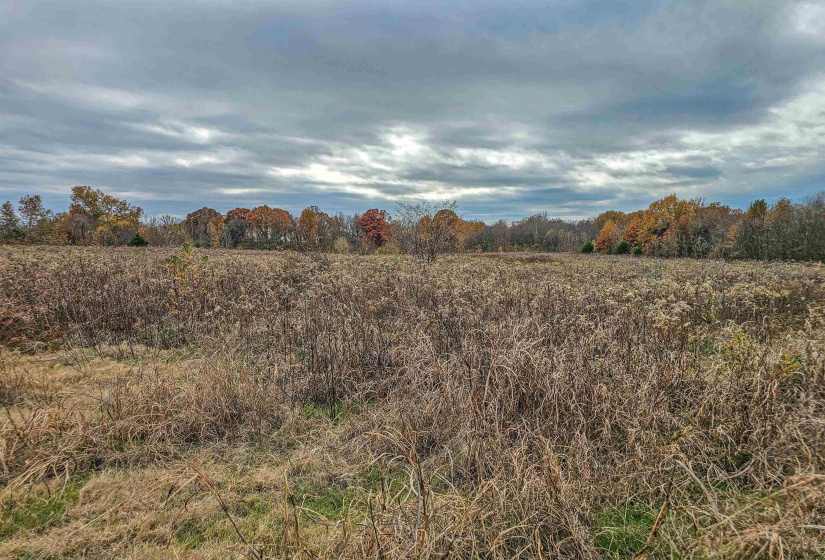 FISHERVILLE RD, Piperton, Tennessee 38066, ,Land,For Sale,FISHERVILLE,10210138