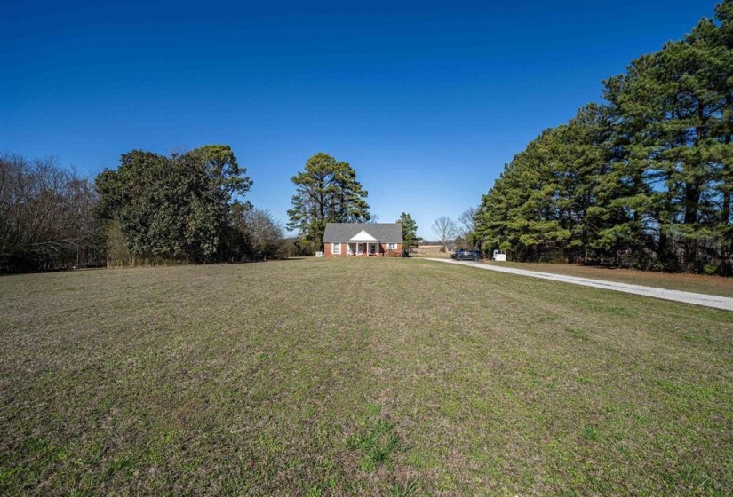 View of grassy yard