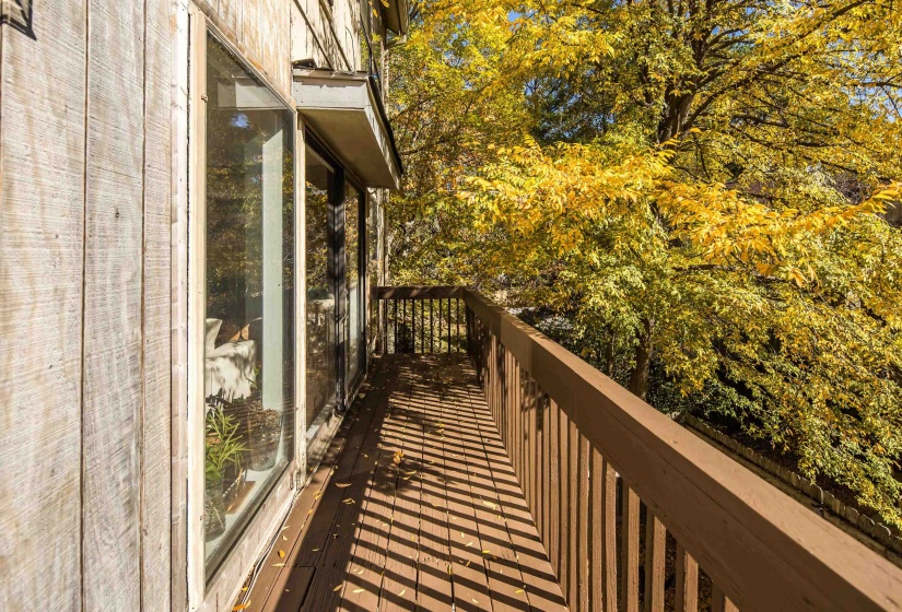 View of wooden deck