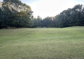 6339 ALTHORP CV, Lakeland, Tennessee 38002, ,Land,For Sale,ALTHORP,10207682 6339 ALTHORP CV, Lakeland, Tennessee 38002, ,Land,For Sale,ALTHORP,10207682