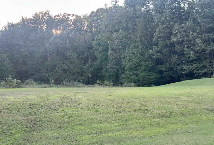 View of grassy yard