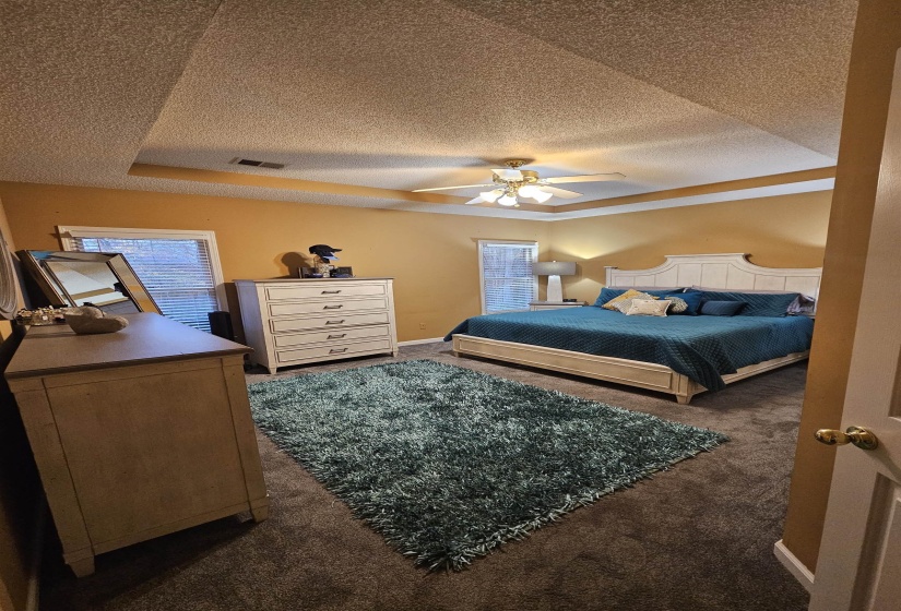 Bedroom featuring hardwood floors, ceiling fan, a textured ceiling, and a tray ceiling