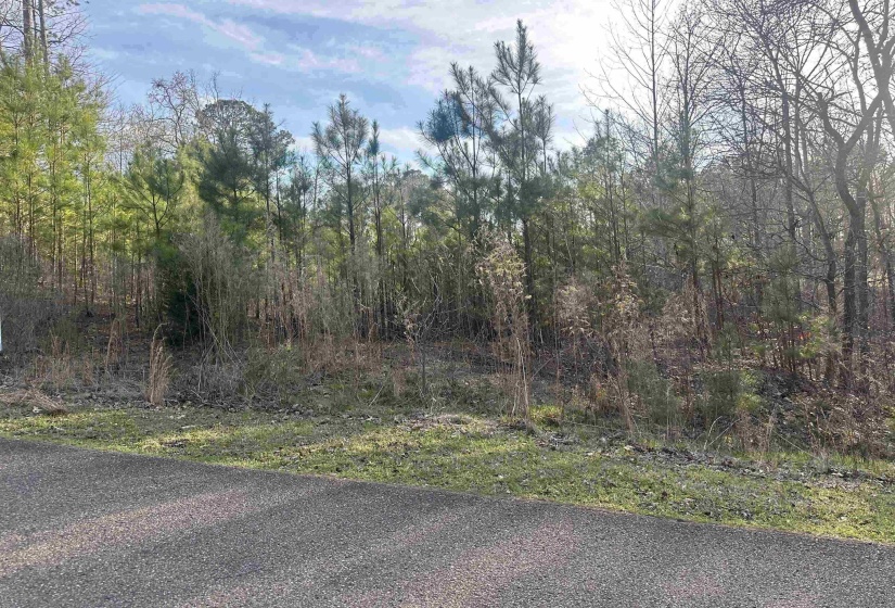 0 SHILOH FALLS COURT RD, Counce, Tennessee 38372-9999, ,Land,For Sale,SHILOH FALLS COURT,10210313