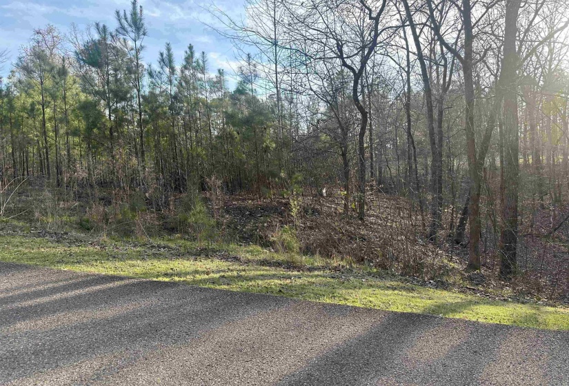 0 SHILOH FALLS COURT RD, Counce, Tennessee 38372-9999, ,Land,For Sale,SHILOH FALLS COURT,10210313