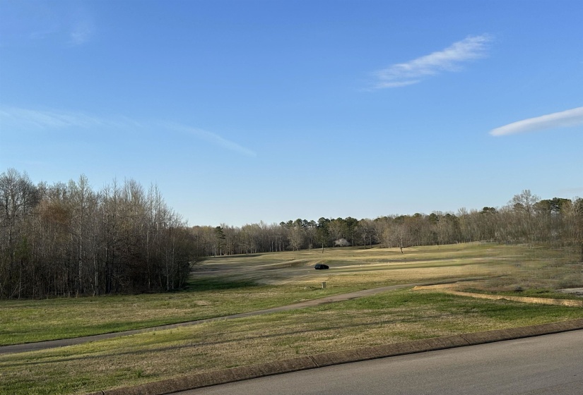0 SHILOH FALLS COURT RD, Counce, Tennessee 38372-9999, ,Land,For Sale,SHILOH FALLS COURT,10210313
