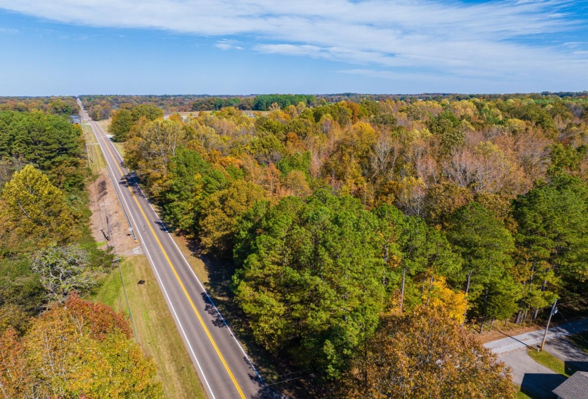 Drone / aerial view of a forest
