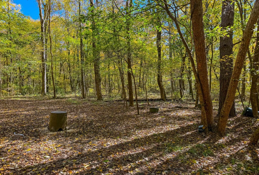 View of wooded area