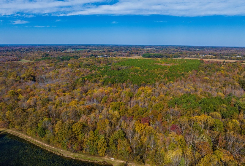 Aerial overview of property's location featuring a heavily wooded area