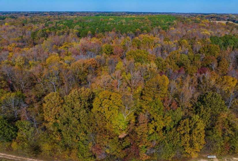 Aerial view of property and surrounding area