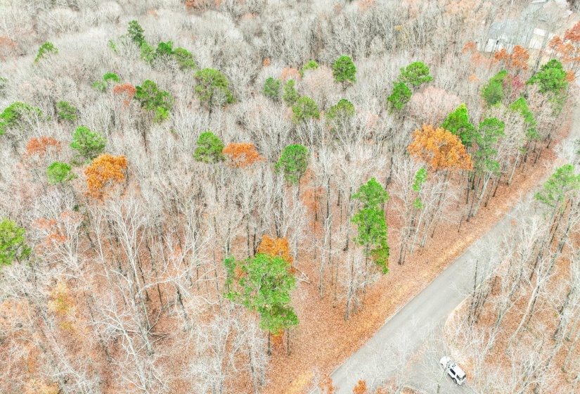 LOT 66 PRESERVE BLVD, Savannah, Tennessee 38372, ,Land,For Sale,PRESERVE,10210473
