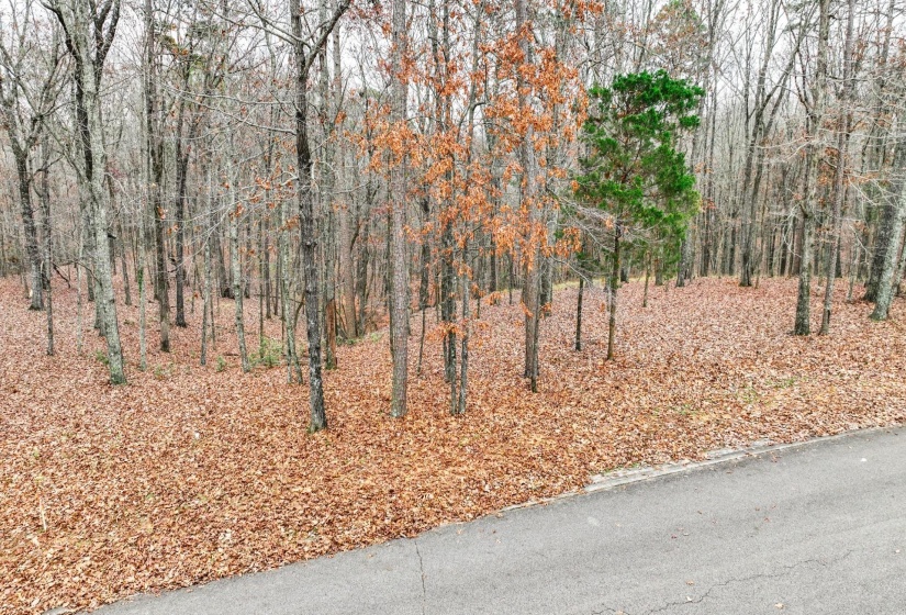 LOT 66 PRESERVE BLVD, Savannah, Tennessee 38372, ,Land,For Sale,PRESERVE,10210473