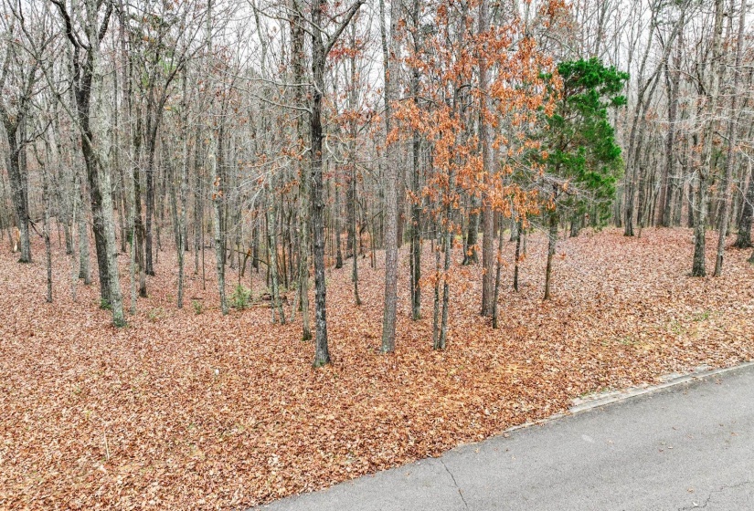 LOT 66 PRESERVE BLVD, Savannah, Tennessee 38372, ,Land,For Sale,PRESERVE,10210473
