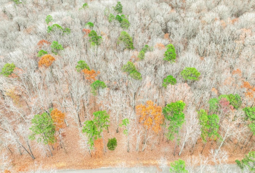 LOT 66 PRESERVE BLVD, Savannah, Tennessee 38372, ,Land,For Sale,PRESERVE,10210473