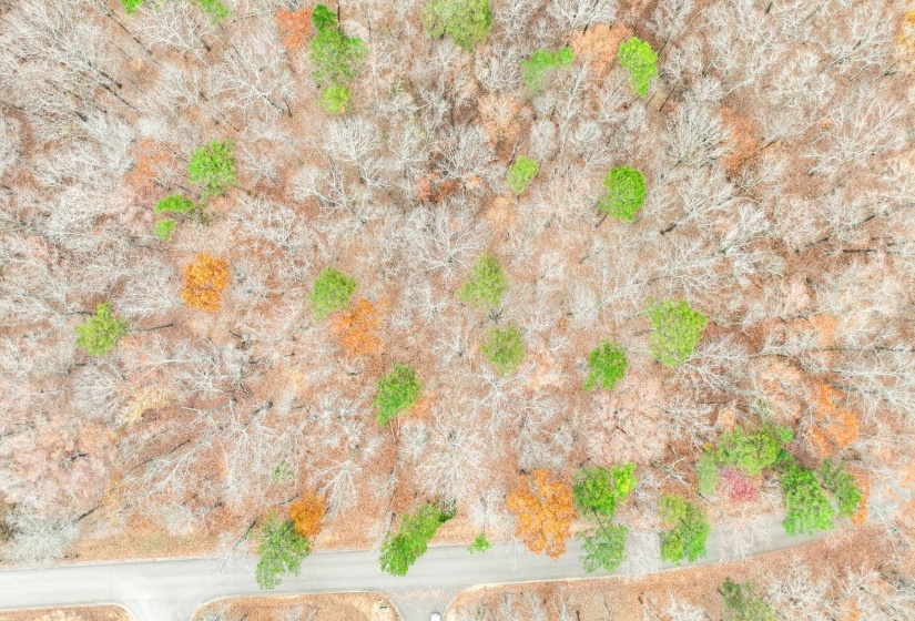 LOT 66 PRESERVE BLVD, Savannah, Tennessee 38372, ,Land,For Sale,PRESERVE,10210473