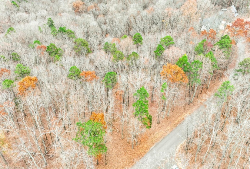 LOT 66 PRESERVE BLVD, Savannah, Tennessee 38372, ,Land,For Sale,PRESERVE,10210473