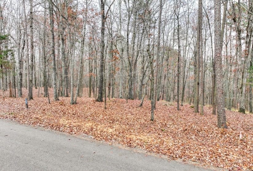 LOT 66 PRESERVE BLVD, Savannah, Tennessee 38372, ,Land,For Sale,PRESERVE,10210473