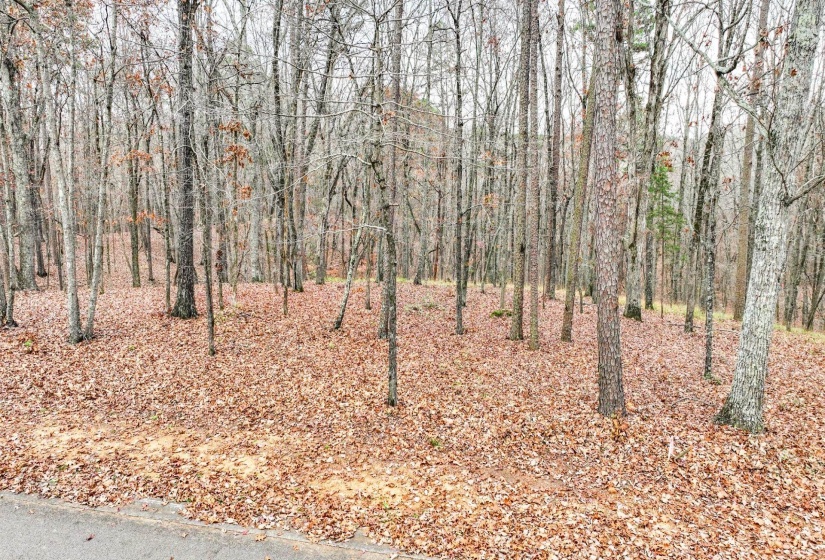 LOT 66 PRESERVE BLVD, Savannah, Tennessee 38372, ,Land,For Sale,PRESERVE,10210473