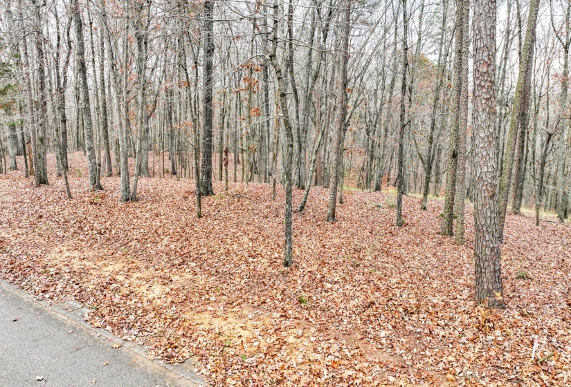 LOT 66 PRESERVE BLVD, Savannah, Tennessee 38372, ,Land,For Sale,PRESERVE,10210473