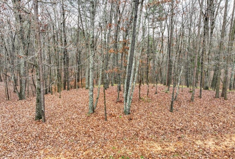 LOT 66 PRESERVE BLVD, Savannah, Tennessee 38372, ,Land,For Sale,PRESERVE,10210473