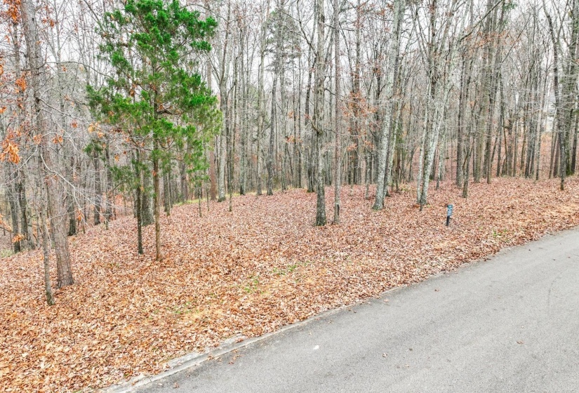 LOT 66 PRESERVE BLVD, Savannah, Tennessee 38372, ,Land,For Sale,PRESERVE,10210473