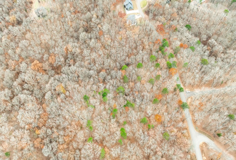 LOT 66 PRESERVE BLVD, Savannah, Tennessee 38372, ,Land,For Sale,PRESERVE,10210473