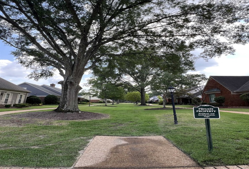 View of home's community with a lawn