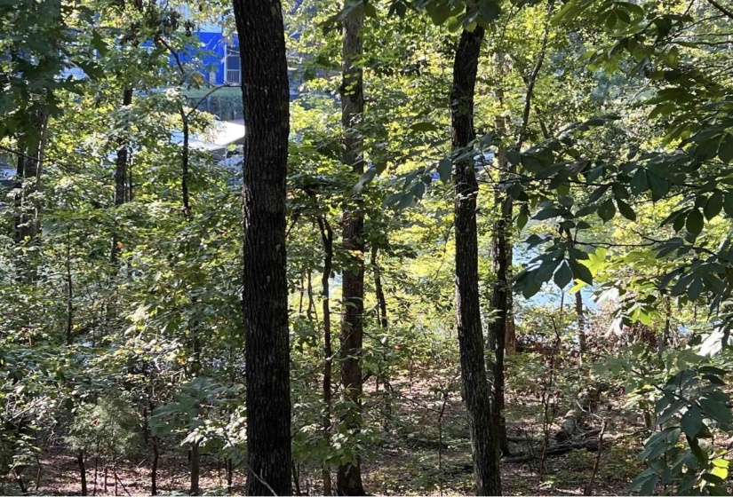 View of wooded area