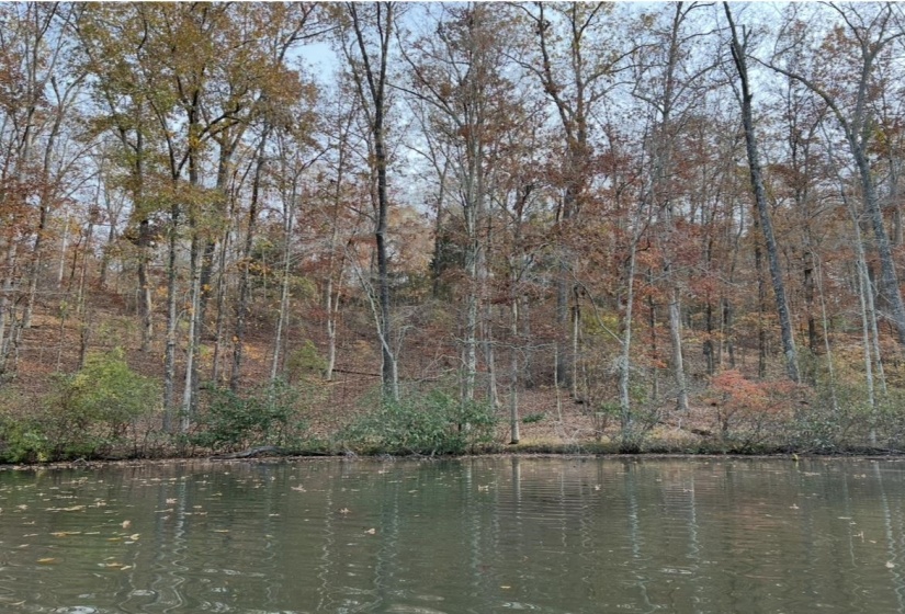 Water view