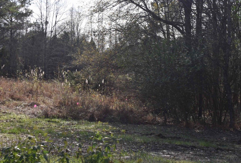0 193 HWY, Rossville, Tennessee 38066, 0 , 0 ,0,Land,For Sale,193,0,10210571