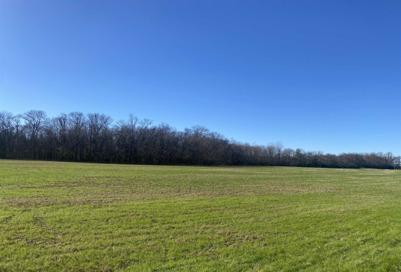 1 BANDIT WAY, Savannah, Tennessee 38372, 0 , 0 ,0,Land,For Sale,BANDIT,0,10210626