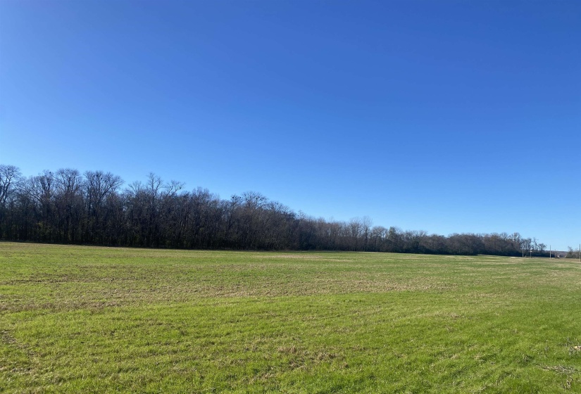 1 BANDIT WAY, Savannah, Tennessee 38372, 0 , 0 ,0,Land,For Sale,BANDIT,0,10210626