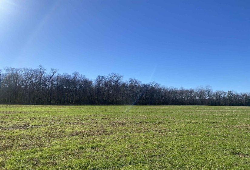 1 BANDIT WAY, Savannah, Tennessee 38372, 0 , 0 ,0,Land,For Sale,BANDIT,0,10210626