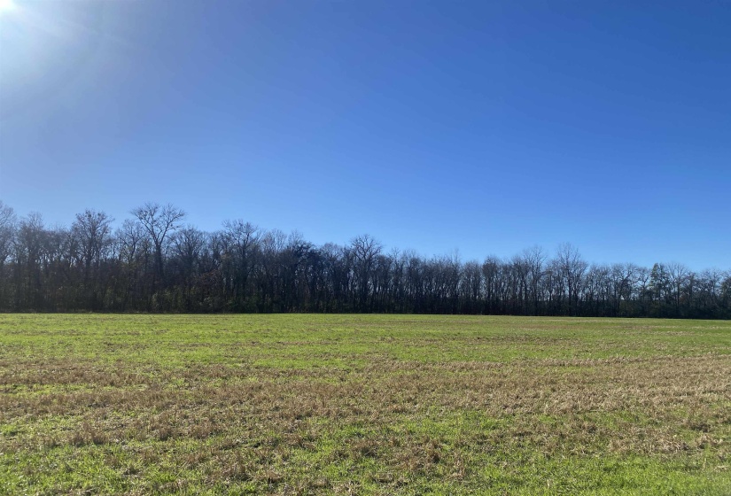 1 BANDIT WAY, Savannah, Tennessee 38372, 0 , 0 ,0,Land,For Sale,BANDIT,0,10210626