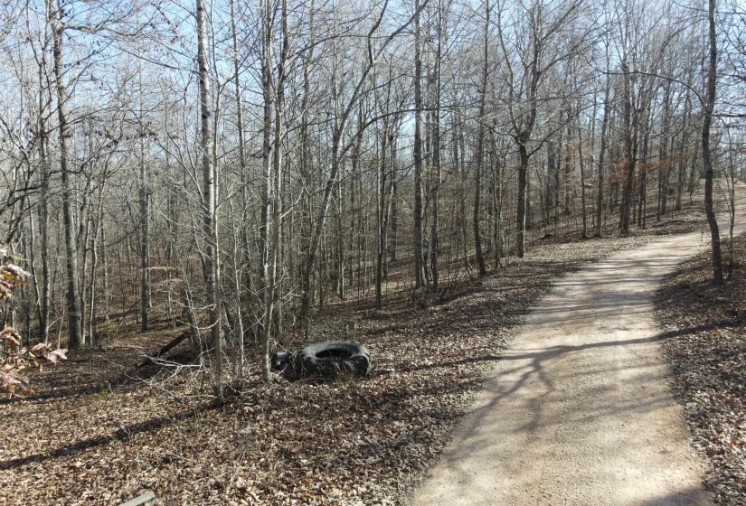 1 MONTGOMERY LN, Savannah, Tennessee 38372, ,Land,For Sale,MONTGOMERY,10210672