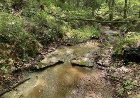 1 MONTGOMERY LN, Savannah, Tennessee 38372, ,Land,For Sale,MONTGOMERY,10210672 1 MONTGOMERY LN, Savannah, Tennessee 38372, ,Land,For Sale,MONTGOMERY,10210672