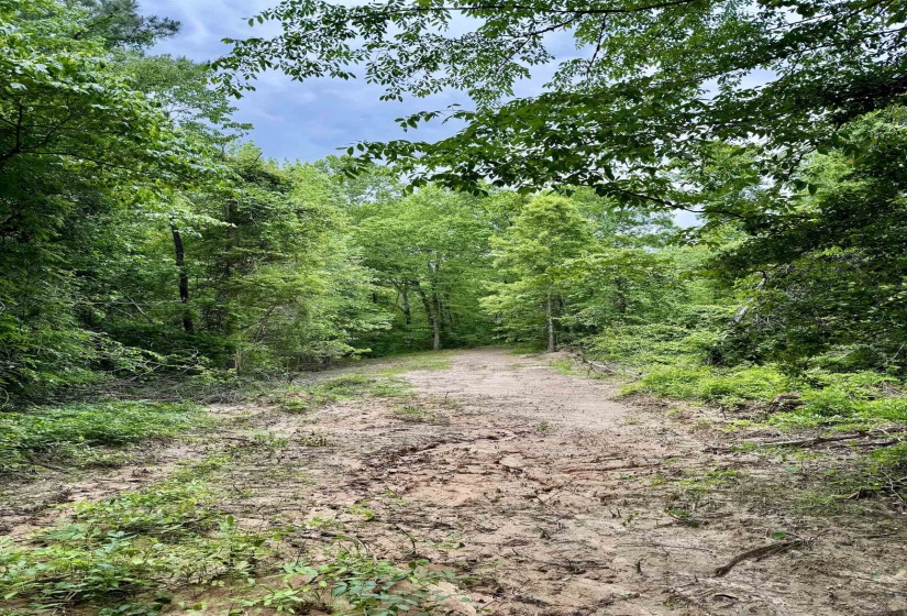View of wooded area