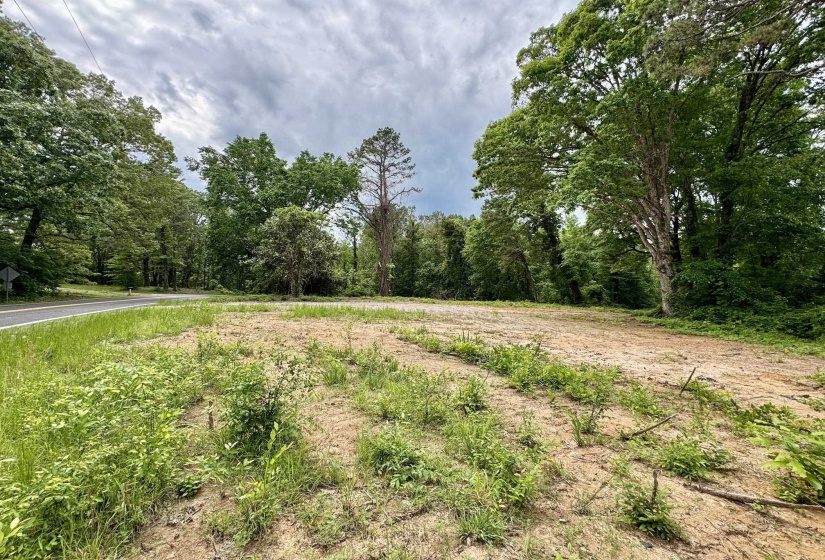 View of wooded area
