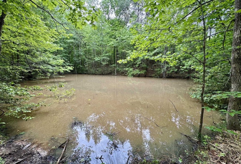 View of yard with a view of trees and a water view