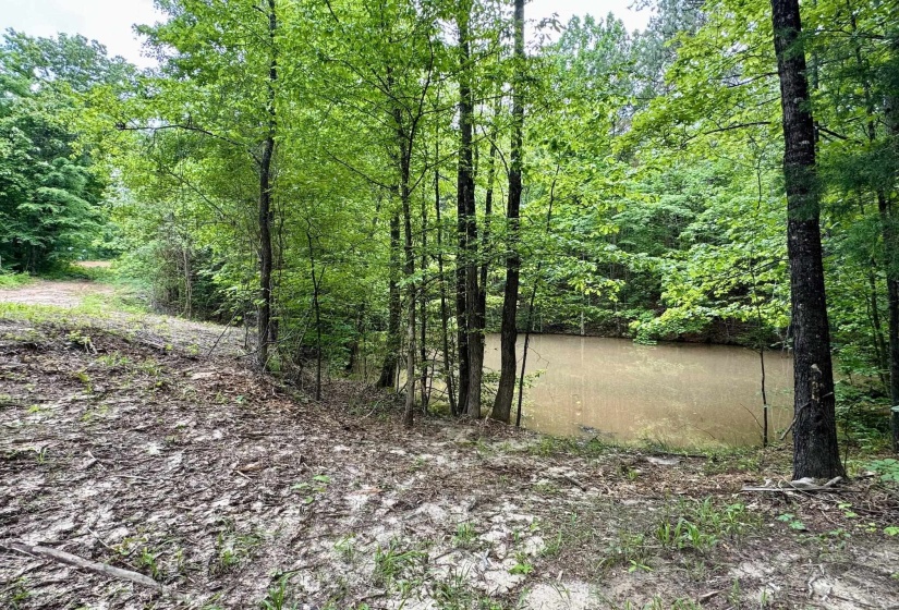 View of wooded area