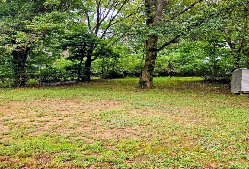 View of grassy yard with a shed