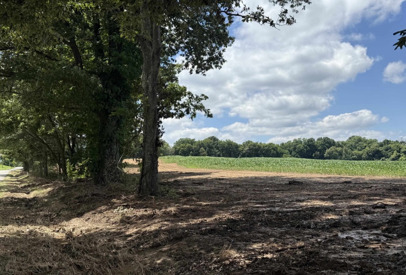 0 SINAI DR, Mason, Tennessee 38049, 0 , 0 ,0,Land,For Sale,SINAI,0,10210880