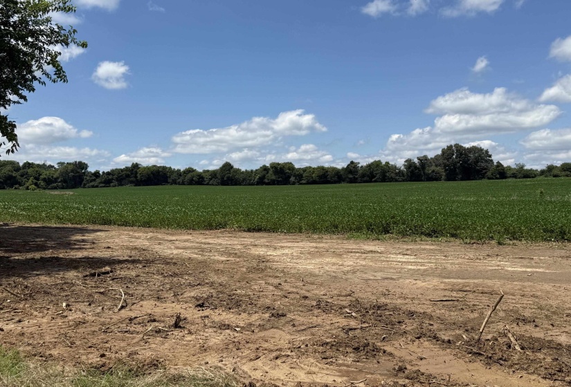 0 SINAI DR, Mason, Tennessee 38049, 0 , 0 ,0,Land,For Sale,SINAI,0,10210880