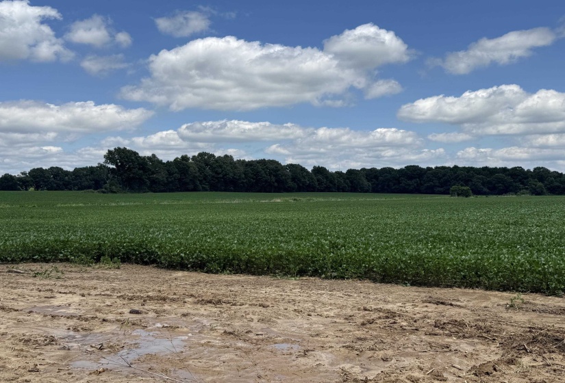 0 SINAI DR, Mason, Tennessee 38049, 0 , 0 ,0,Land,For Sale,SINAI,0,10210880